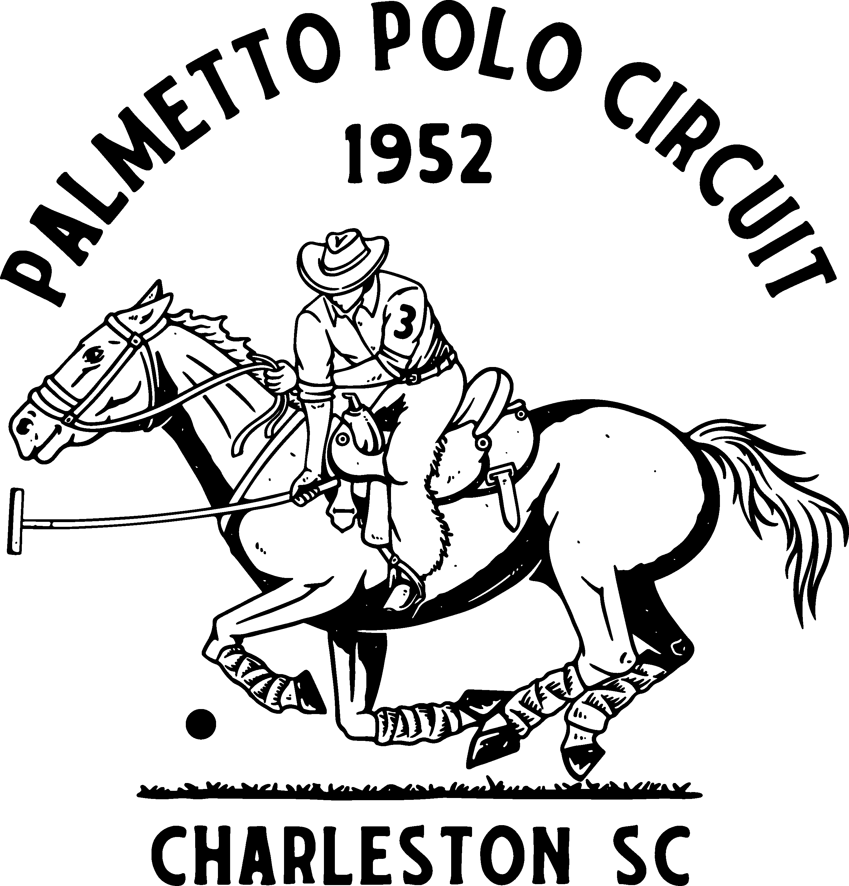 Palmetto Polo arena play in South Carolina